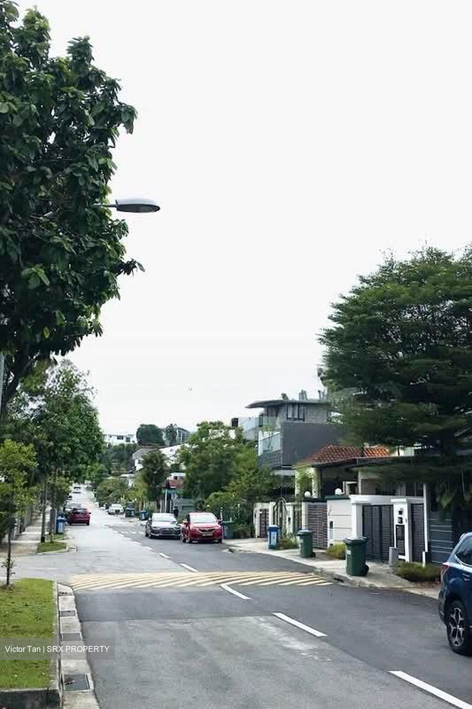 Windsor Park (D20), Terrace #577683731
